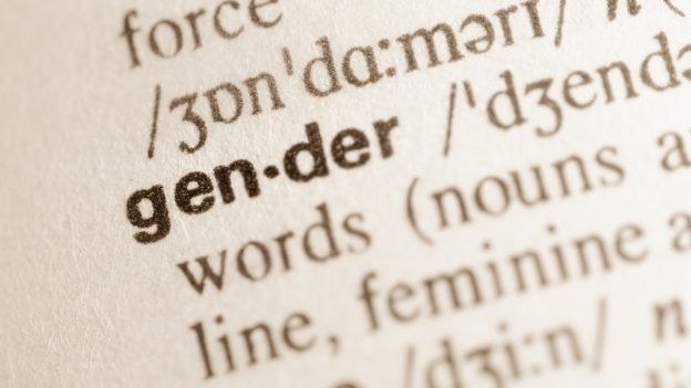 gendern: englische Wörterbuchdefinition von gender