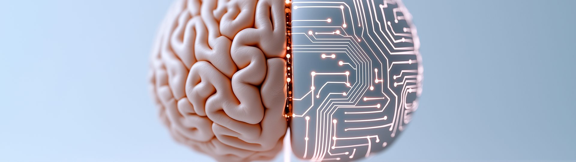 Darstellung eines Gehirns, dessen linke Hälfte biologisch ist und dessen rechte Hälfte als digitale Schaltkreise visualisiert wird – Symbol für die Verbindung von menschlicher Intelligenz und künstlicher Intelligenz.
